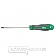 Skrutkovač TORX prodloužený, TTa 10x200mm, S2 gallery main image