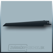 Píla chvostovka TH-AP 650 E Einhell Red Home  náhled