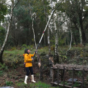 Teleskopická píla Hayauchi 4900-6.5  Náhľad