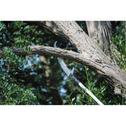 Teleskopická píla Hayauchi 6300-6.5 náhled