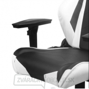 Židle DXRACER OH/RF0/NW náhled