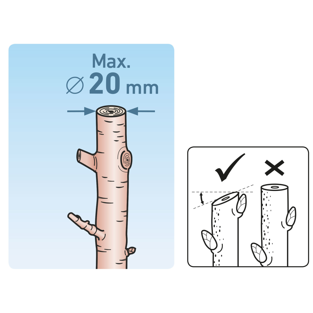 Nožnice záhradnícke 215 mm Extol Premium Náhľad