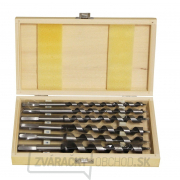 Sada vrtáků do dřeva hadovité - 6ks gallery main image