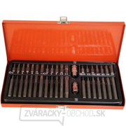Sada bitov 10mm 6HR, TRX, XZN v plech. kazete - 40ks gallery main image