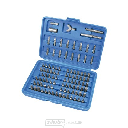 Sada bitů 1/4" s magnetickým nástavcem - 100ks