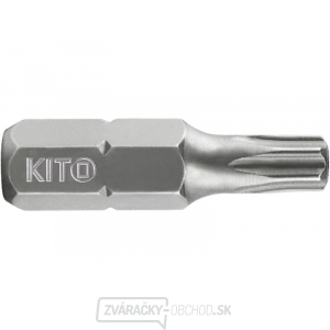 Hrot TORX, T 25x25mm, S2 gallery main image