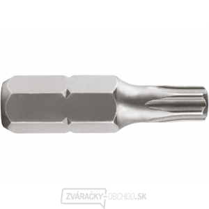 Hrot TORX vrtaný - TTa 10x25mm, S2 gallery main image