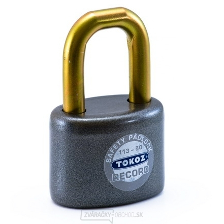 Visiaci zámok 113/50 RECORD TOKOZ, 6 kľúčov