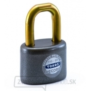 Visiaci zámok 113/50 RECORD TOKOZ, 6 kľúčov Visiaci zámok 113/50 RECORD TOKOZ, 6 kľúčov gallery main image