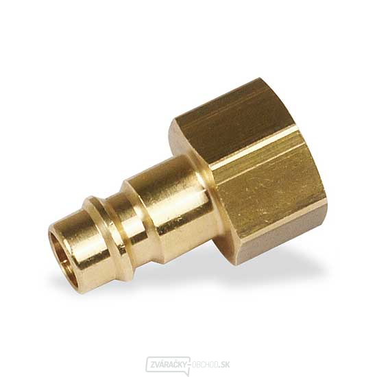 Tŕň 1/4" IG