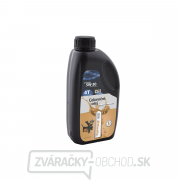 Motorový olej Riwall pre extrémní zimní použití (SAE 5W-30, 1 l) gallery main image