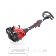 VeGA Benzínový vyžínač VE24250 náhled