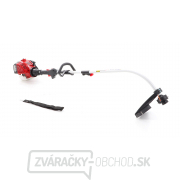 VeGA Benzínový vyžínač VE24250 náhled