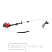 VeGA Benzínový vyžínač VE24250 náhled