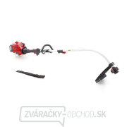 VeGA Benzínový vyžínač VE24250 náhled