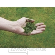 Kosačka Benzínová GC-PM 46/2 Einhell Classic náhled