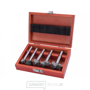 Frézy-sukovníky do dreva s SK plátkami, priemery 15-20-25-30-35mm, stopka 8-10mm - 5 ks Frézy-sukovníky do dreva s SK plátkami, priemery 15-20-25-30-35mm, stopka 8-10mm - 5 ks gallery main image