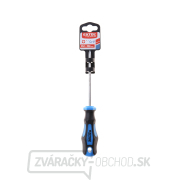 Skrutkovač krížový PH, PH 1x100mm, CrV Náhľad