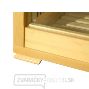 Infrasauna Economical 2001 Carbon náhled