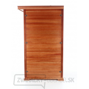 Infrasauna DeLuxe 2022 Cedr Carbon náhled