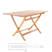 PRINCE VeGA 4 náhled