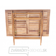 PRINCE VeGA 4 náhled