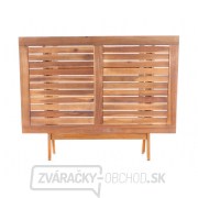 PRINCE VeGA 4 náhled