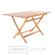 PRINCE VeGA 4 náhled