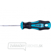 Skrutkovač TORX, T6x60mm, CrV gallery main image