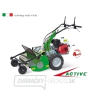 Kladivkový profi mulčovač ACTIVE AC 621 gallery main image