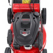 Benzínová kosačka na trávu s pojazdom Weibang WB 456 SC 6in1 Benzínová kosačka na trávu s pojazdom Weibang WB 456 SC 6in1 náhled