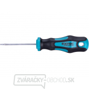 Skrutkovač TORX, T9x60mm, CrV gallery main image