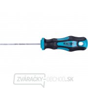 Skrutkovač TORX, TTa10x75mm, CrV gallery main image