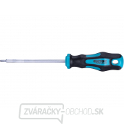 Skrutkovač TORX, TTa15x100mm, CrV gallery main image