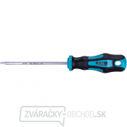 Skrutkovač TORX, TTa20x100mm, CrV gallery main image