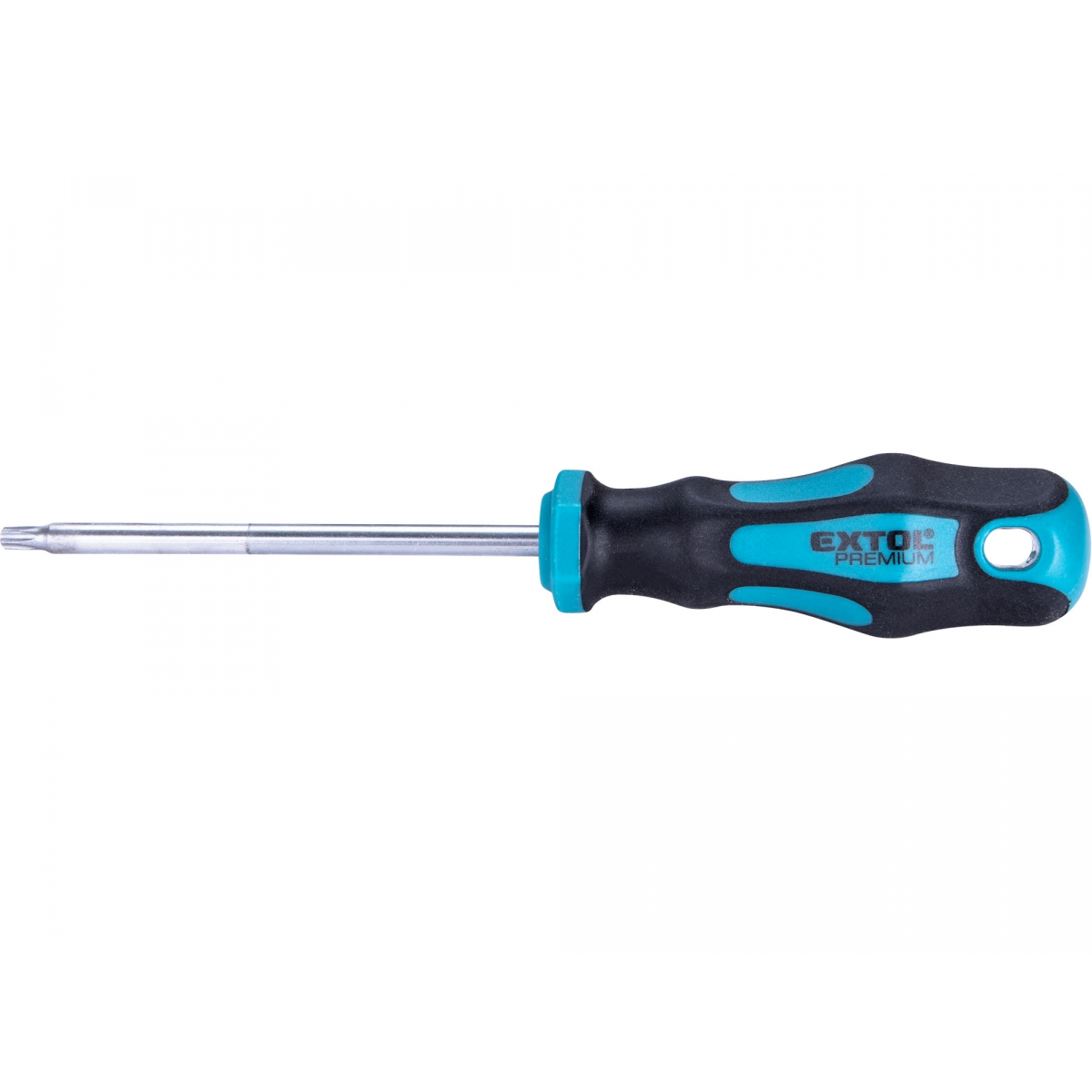 Skrutkovač TORX, TTa25x100mm, CrV
