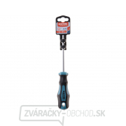 Skrutkovač TORX, TTa25x100mm, CrV Náhľad