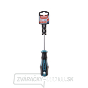 Skrutkovač TORX, TTa25x100mm, CrV Náhľad