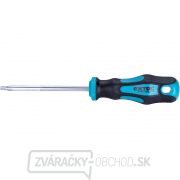 Skrutkovač TORX, TTa25x100mm, CrV gallery main image