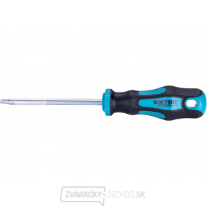 Skrutkovač TORX, TTa25x100mm, CrV gallery main image
