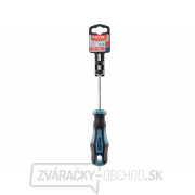 Skrutkovač TORX, TTa27x100mm, CrV Náhľad