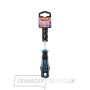 Skrutkovač TORX, TTa30x100mm, CrV Náhľad