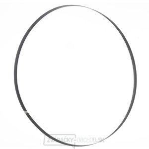 Pásový pilový list pro BBS550 (pro mokré dřevo) Pásový pilový list pro BBS550 (pro mokré dřevo) gallery main image