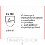 Pracovné rukavice CRANE, lícová hovädzina Náhľad