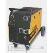 Tiger 169 gallery main image