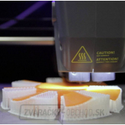 3D Tlačiareň ROBOX CEL Dual so systémom dvojtých trysiek náhled