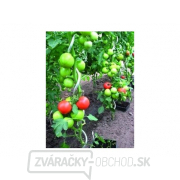 Tyč k paradajkám špirálová 1.5m, 6mm pozink (sada 6 kusov) gallery main image