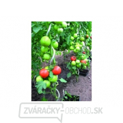Tyč k paradajkám špirálová 1.5m, 6mm pozink (sada 6 kusov) Tyč k paradajkám špirálová 1.5m, 6mm pozink (sada 6 kusov) gallery main image