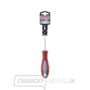 Skrutkovač krížový, PH 1x100mm, S2 Náhľad