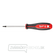 Milwaukee TRI-lobom Skrutkovač T20x100- 1ks gallery main image